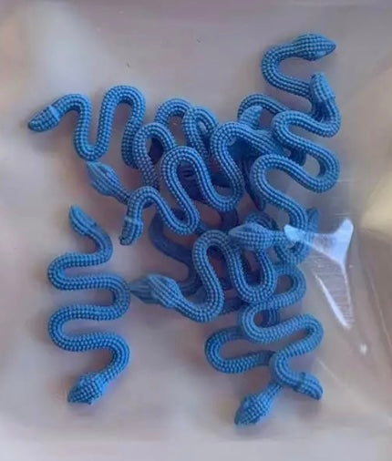 Textured Coloured Snake Charms