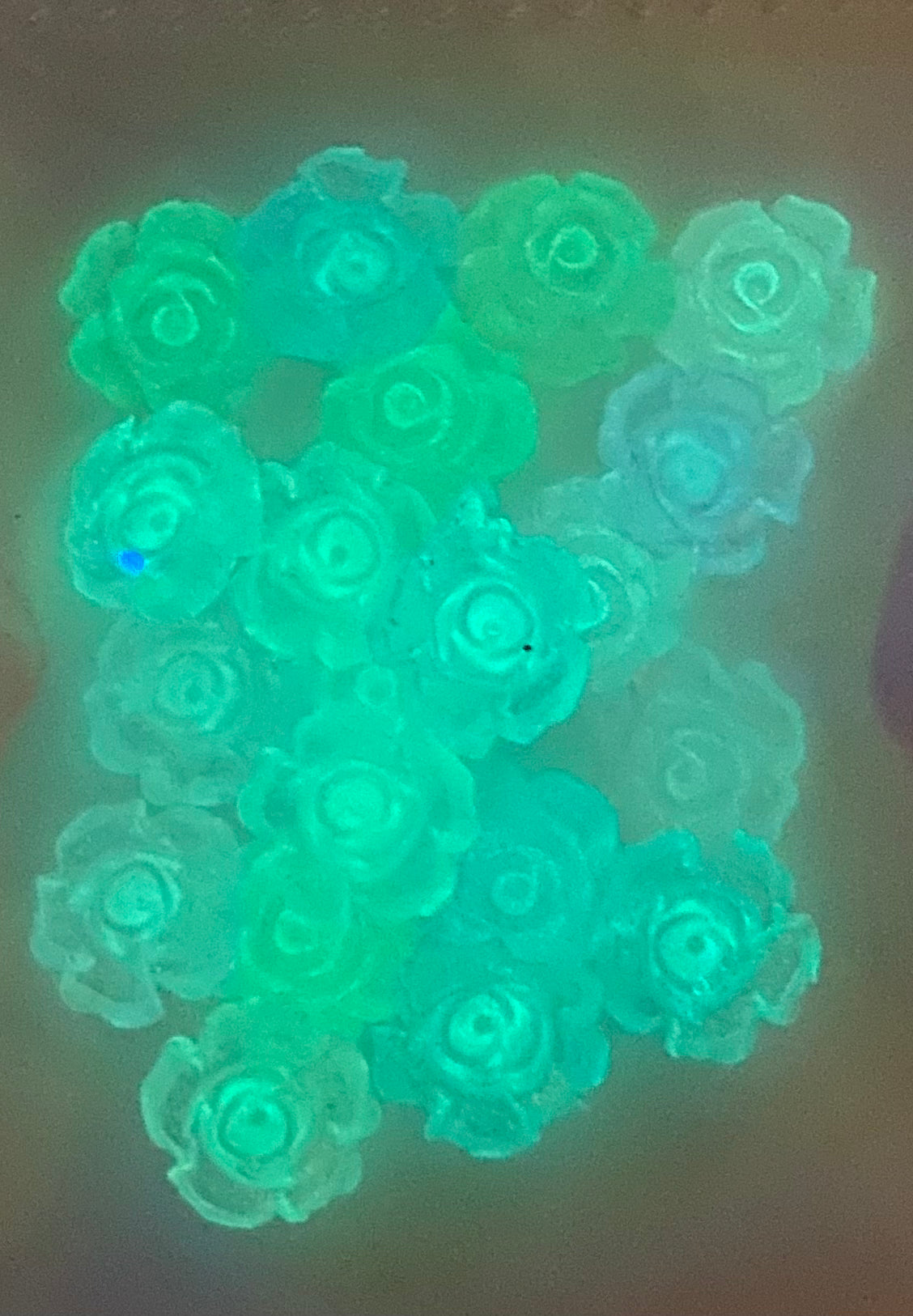 Glow in the Dark Roses