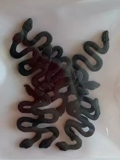 Textured Coloured Snake Charms